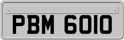 PBM6010