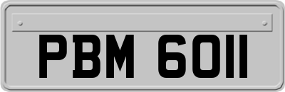 PBM6011