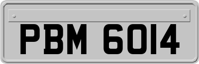 PBM6014