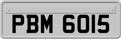 PBM6015