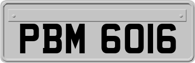 PBM6016