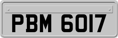 PBM6017