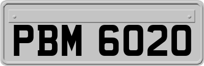 PBM6020