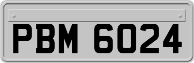 PBM6024