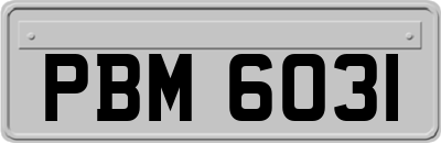 PBM6031