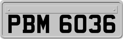 PBM6036