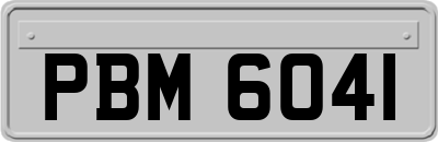 PBM6041