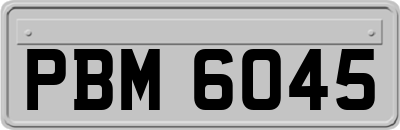 PBM6045