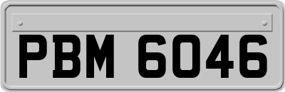 PBM6046