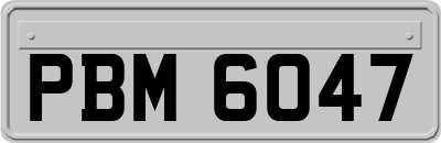 PBM6047