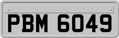 PBM6049