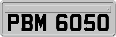 PBM6050