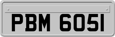 PBM6051