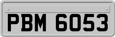 PBM6053