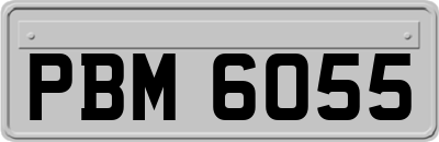 PBM6055