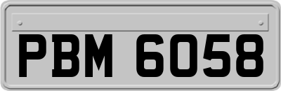 PBM6058