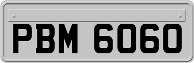 PBM6060