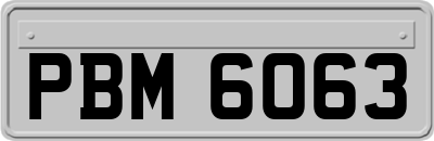 PBM6063