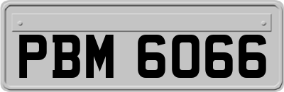 PBM6066