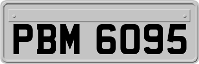 PBM6095