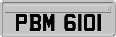 PBM6101