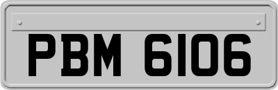 PBM6106