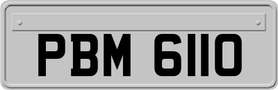 PBM6110