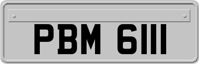 PBM6111