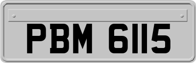 PBM6115