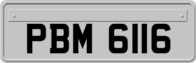 PBM6116