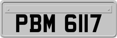 PBM6117