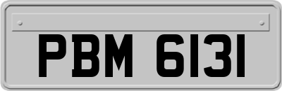 PBM6131