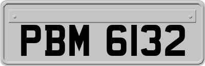 PBM6132