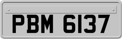 PBM6137