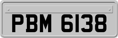 PBM6138