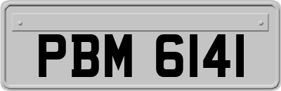 PBM6141