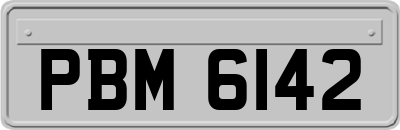 PBM6142