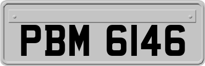 PBM6146