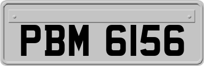 PBM6156