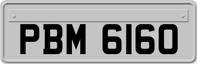 PBM6160