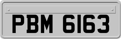 PBM6163