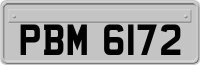 PBM6172