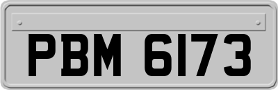 PBM6173