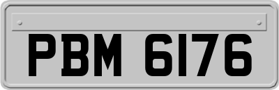 PBM6176