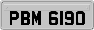 PBM6190