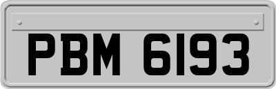 PBM6193