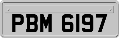 PBM6197