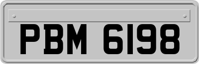 PBM6198