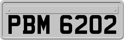 PBM6202