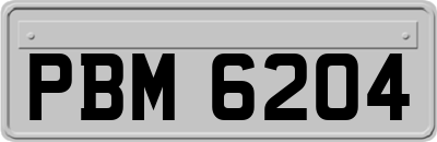 PBM6204